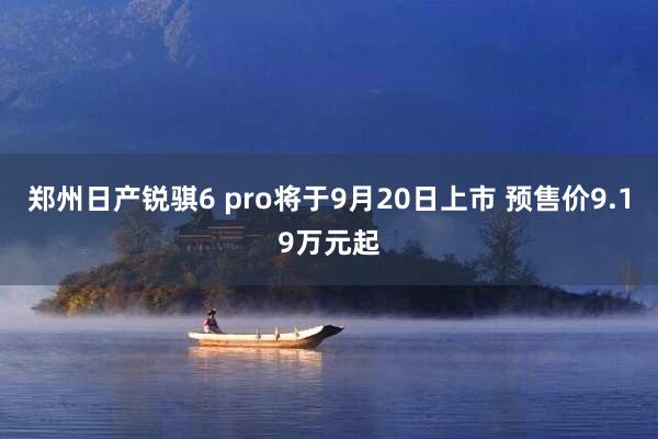 郑州日产锐骐6 pro将于9月20日上市 预售价9.19万元起