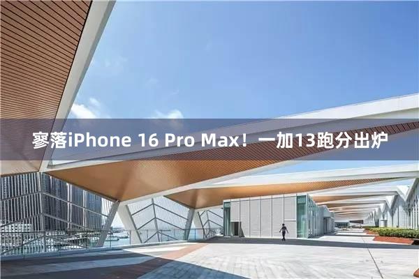 寥落iPhone 16 Pro Max！一加13跑分出炉