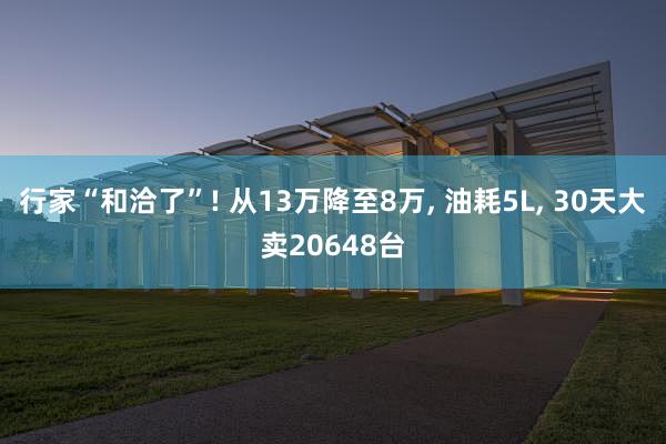 行家“和洽了”! 从13万降至8万, 油耗5L, 30天大卖20648台