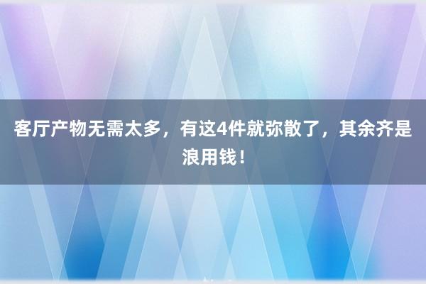 客厅产物无需太多，有这4件就弥散了，其余齐是浪用钱！