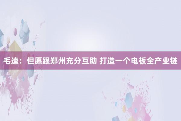 毛逵：但愿跟郑州充分互助 打造一个电板全产业链