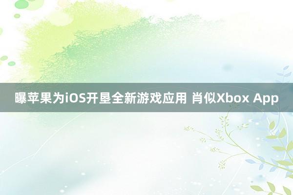 曝苹果为iOS开垦全新游戏应用 肖似Xbox App